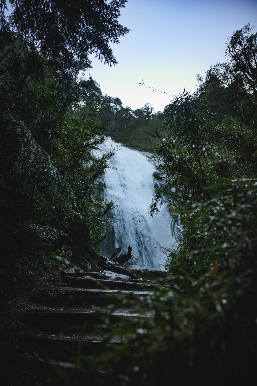 Cascada oscura entre arboles